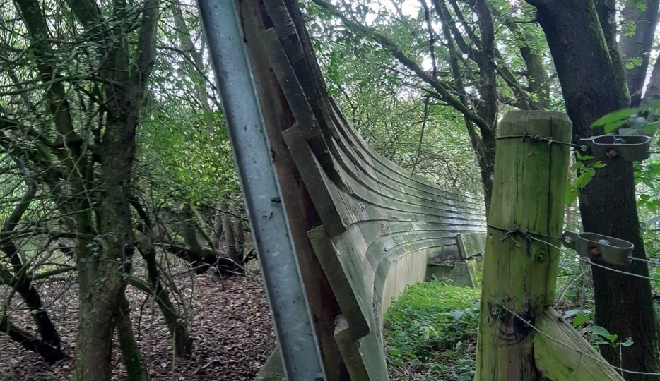 Ecoduct-oud-hout_690x690_acf_cropped