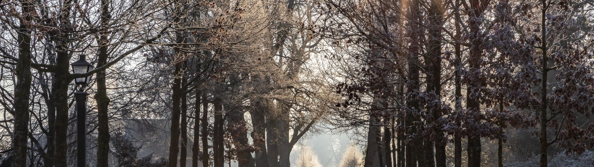 Eiken-laan-Twickel_winter_690x690_acf_cropped