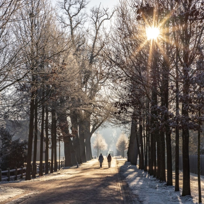 Eiken-laan-Twickel_winter_690x690_acf_cropped