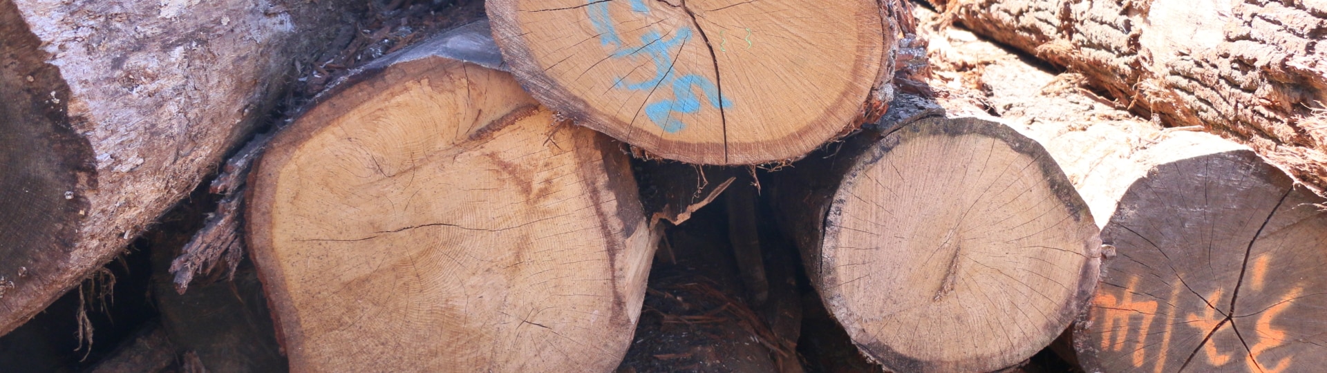 IMG_2278_690x690_acf_cropped