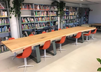 boomstamtafel-7_386x278_acf_cropped