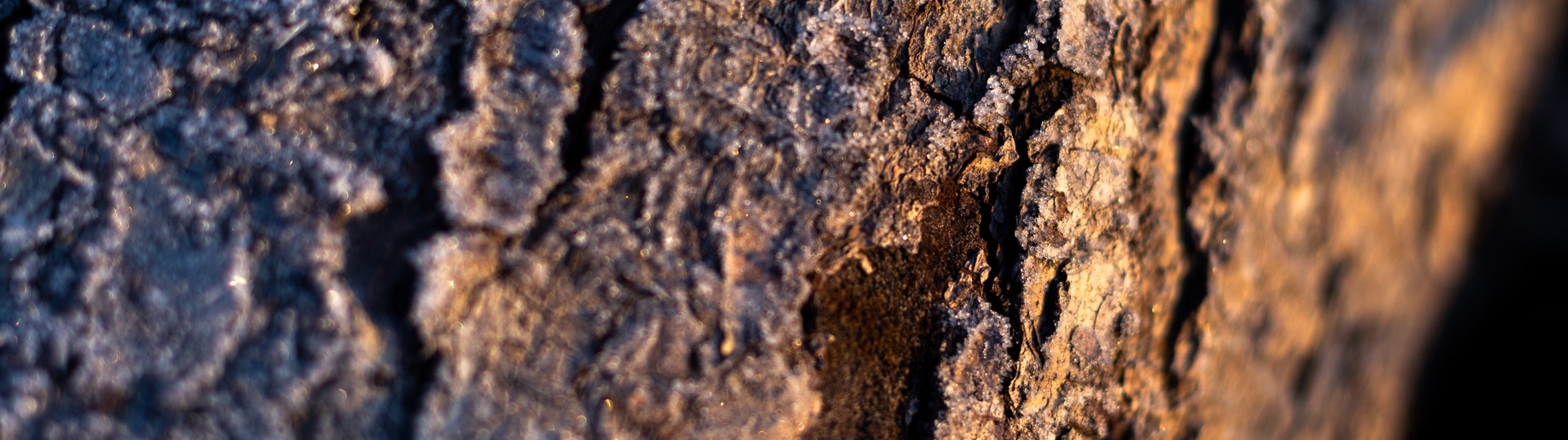 shutterstock_1705228393_690x690_acf_cropped