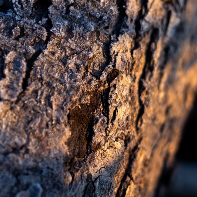 shutterstock_1705228393_690x690_acf_cropped