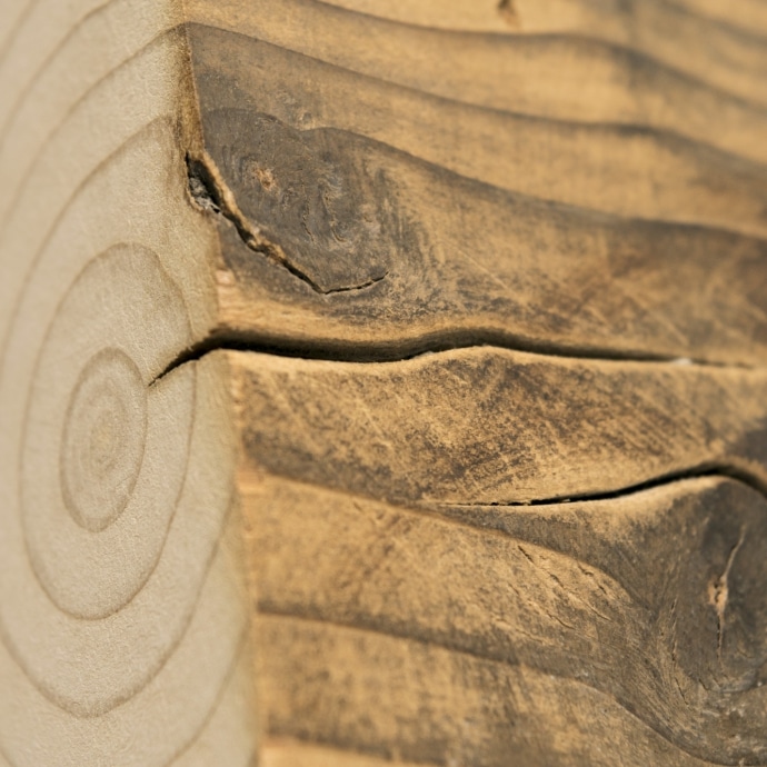 shutterstock_541909798_690x690_acf_cropped