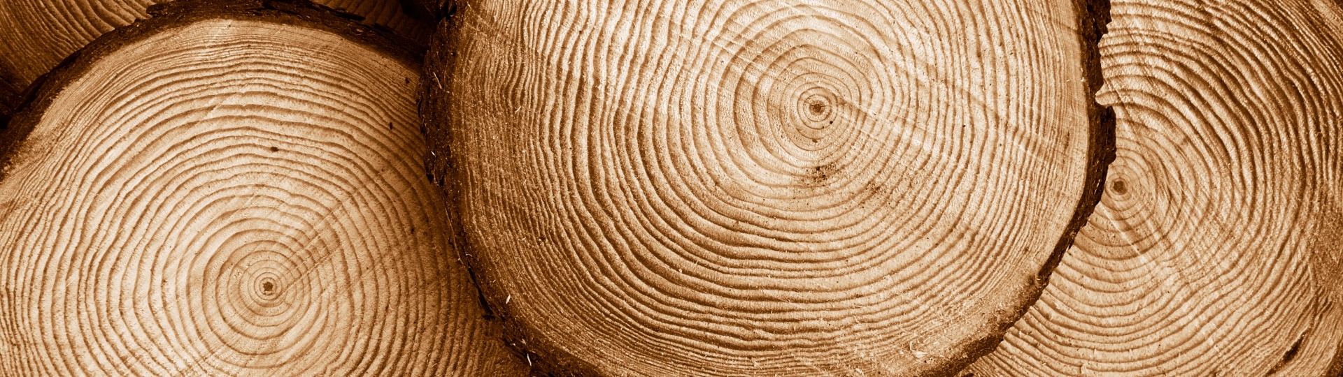 shutterstock_91861718_690x690_acf_cropped