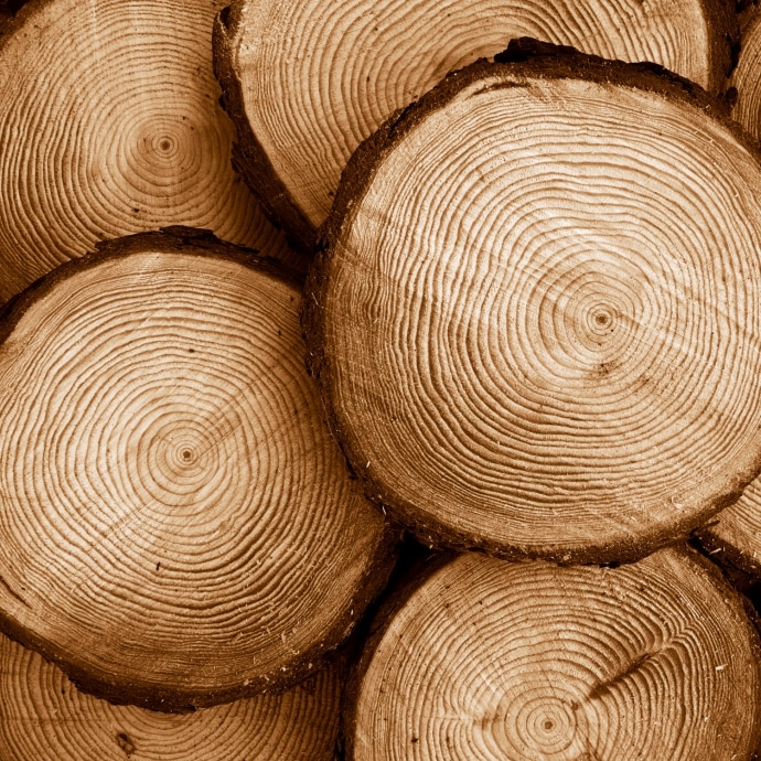 shutterstock_91861718_690x690_acf_cropped
